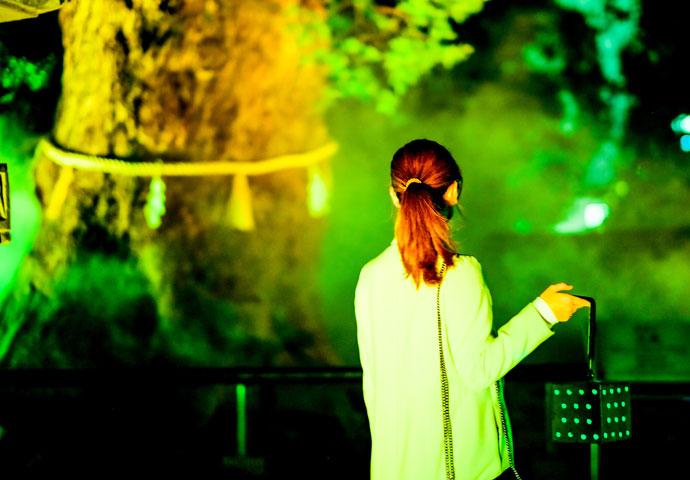 上野東照宮 夢叶う光の夜19 重要文化財ライトアップ Eventbank パートナーズ